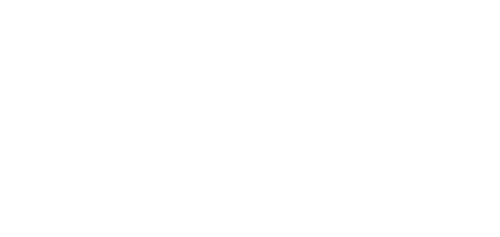 East European University